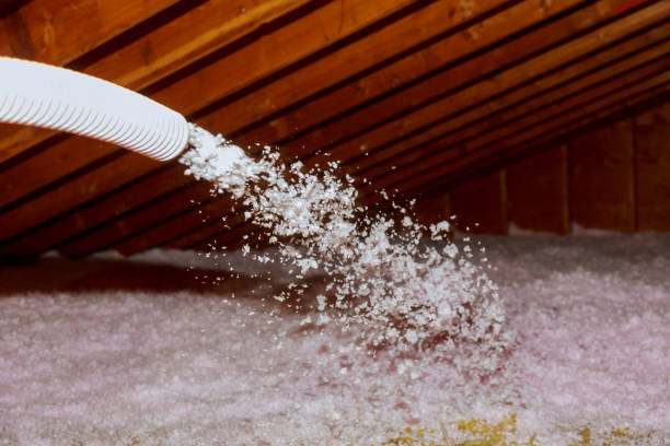 Best Best Insulation Companies  in Maine, WI