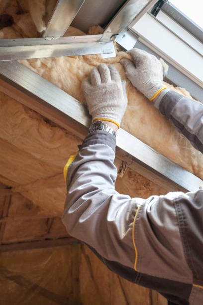 Best Local Insulation Services  in Maine, WI